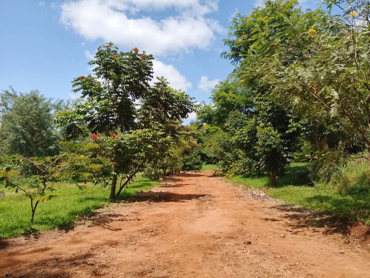 Prime Residential 1/4 Acre Plots for Sale in Ngong Town Prime Residential 1/4 Acre Plots for Sale in Ngong Town