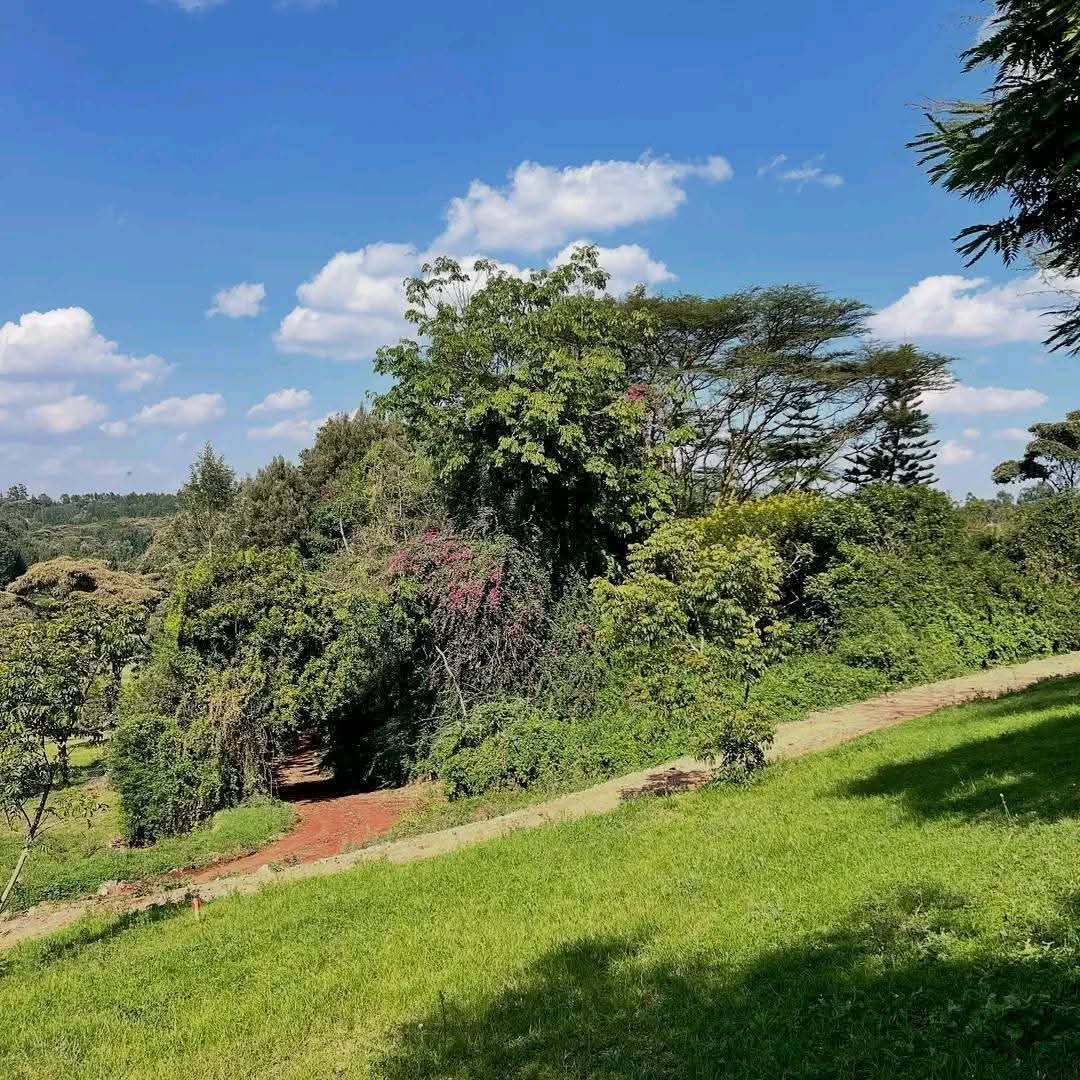 Prime Residential 1/4 Acre Plots for Sale in Ngong Town Prime Residential 1/4 Acre Plots for Sale in Ngong Town