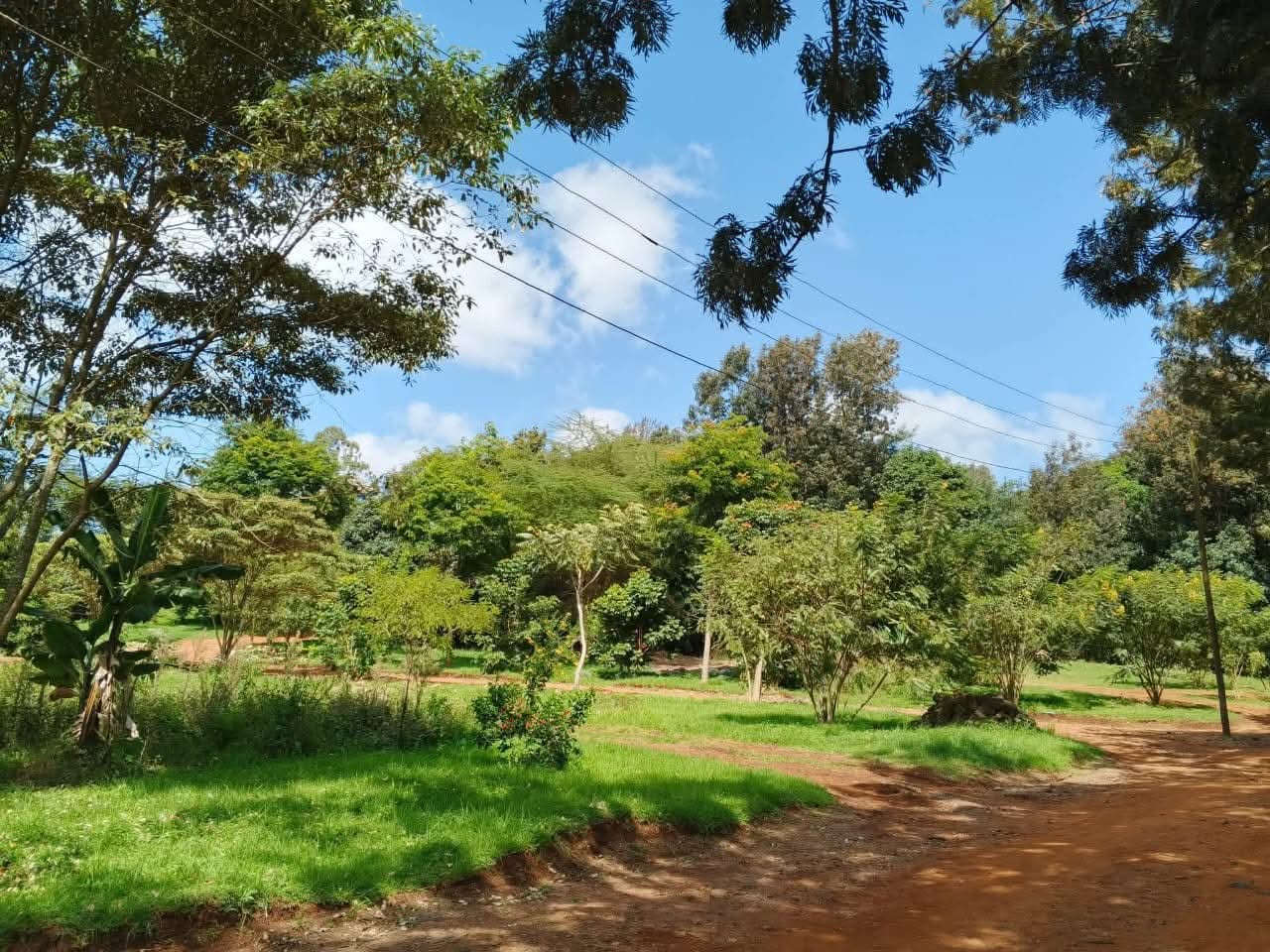 Prime Residential 1/4 Acre Plots for Sale in Ngong Town Prime Residential 1/4 Acre Plots for Sale in Ngong Town