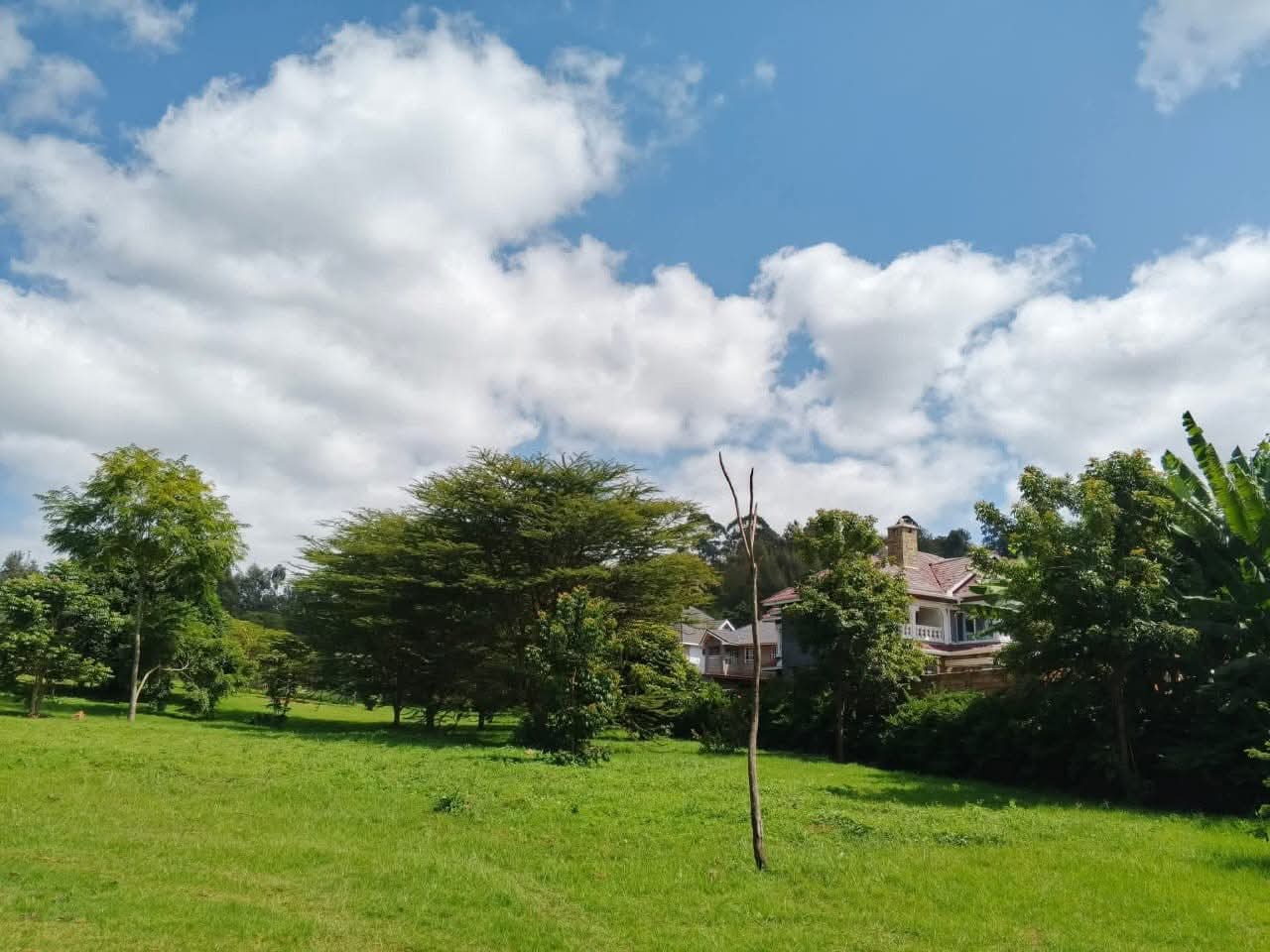 Prime Residential 1/4 Acre Plots for Sale in Ngong Town Prime Residential 1/4 Acre Plots for Sale in Ngong Town
