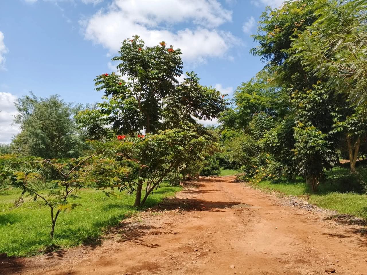 Prime Residential 1/4 Acre Plots for Sale in Ngong Town Prime Residential 1/4 Acre Plots for Sale in Ngong Town