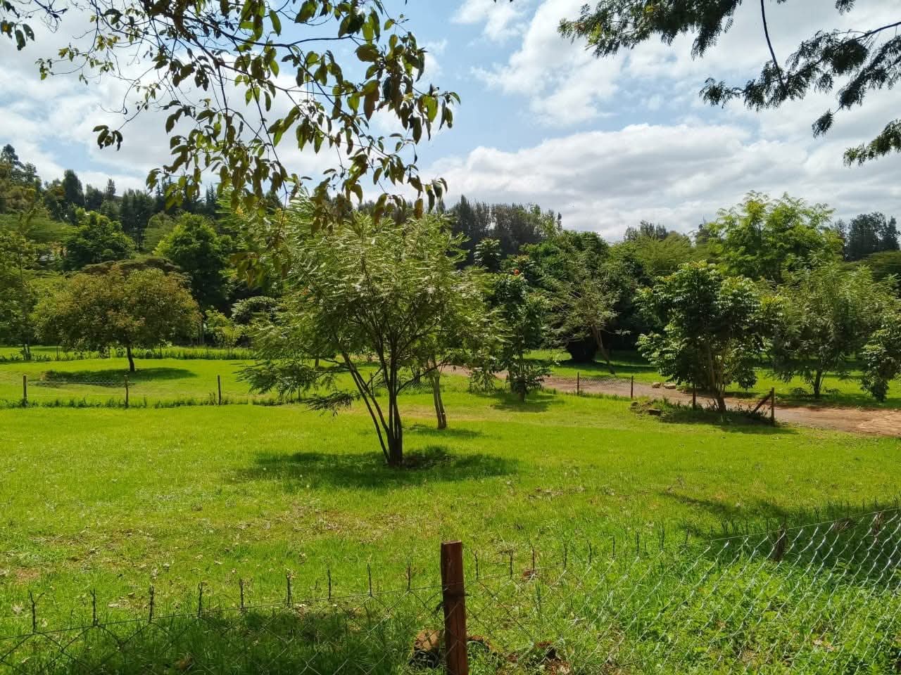 Prime Residential 1/4 Acre Plots for Sale in Ngong Town Prime Residential 1/4 Acre Plots for Sale in Ngong Town