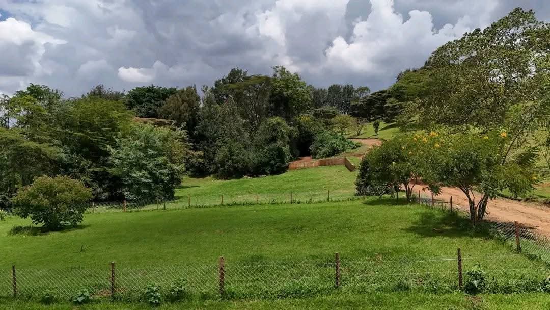 Prime Residential 1/4 Acre Plots for Sale in Ngong Town Prime Residential 1/4 Acre Plots for Sale in Ngong Town